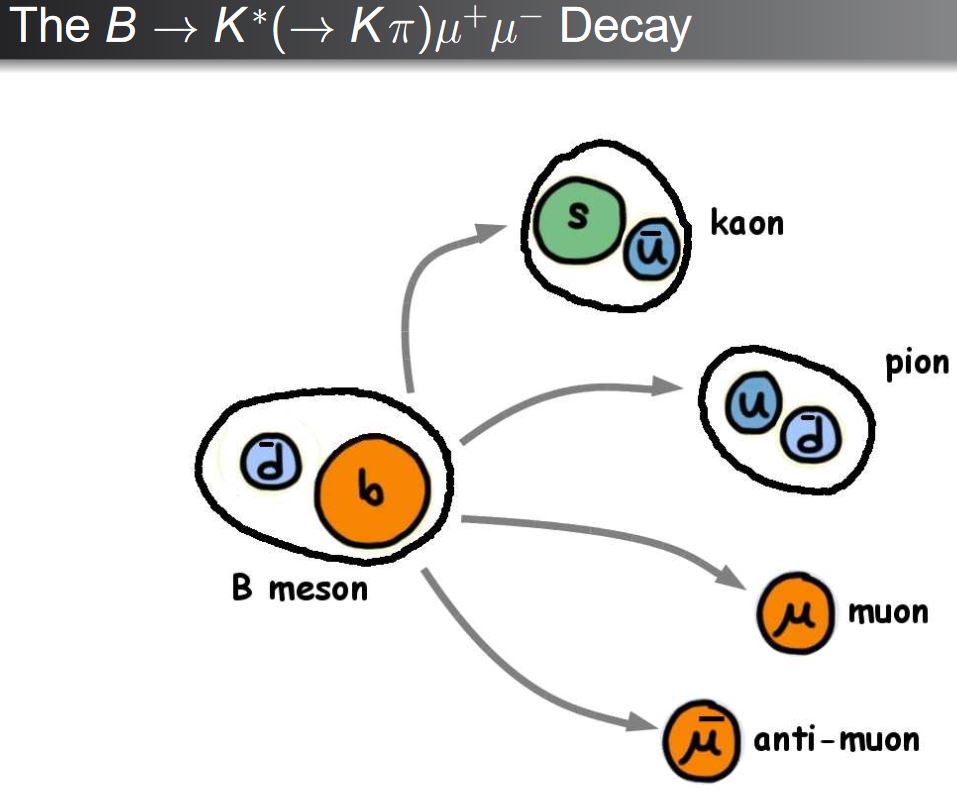 Flavour Anomaly In Nlab