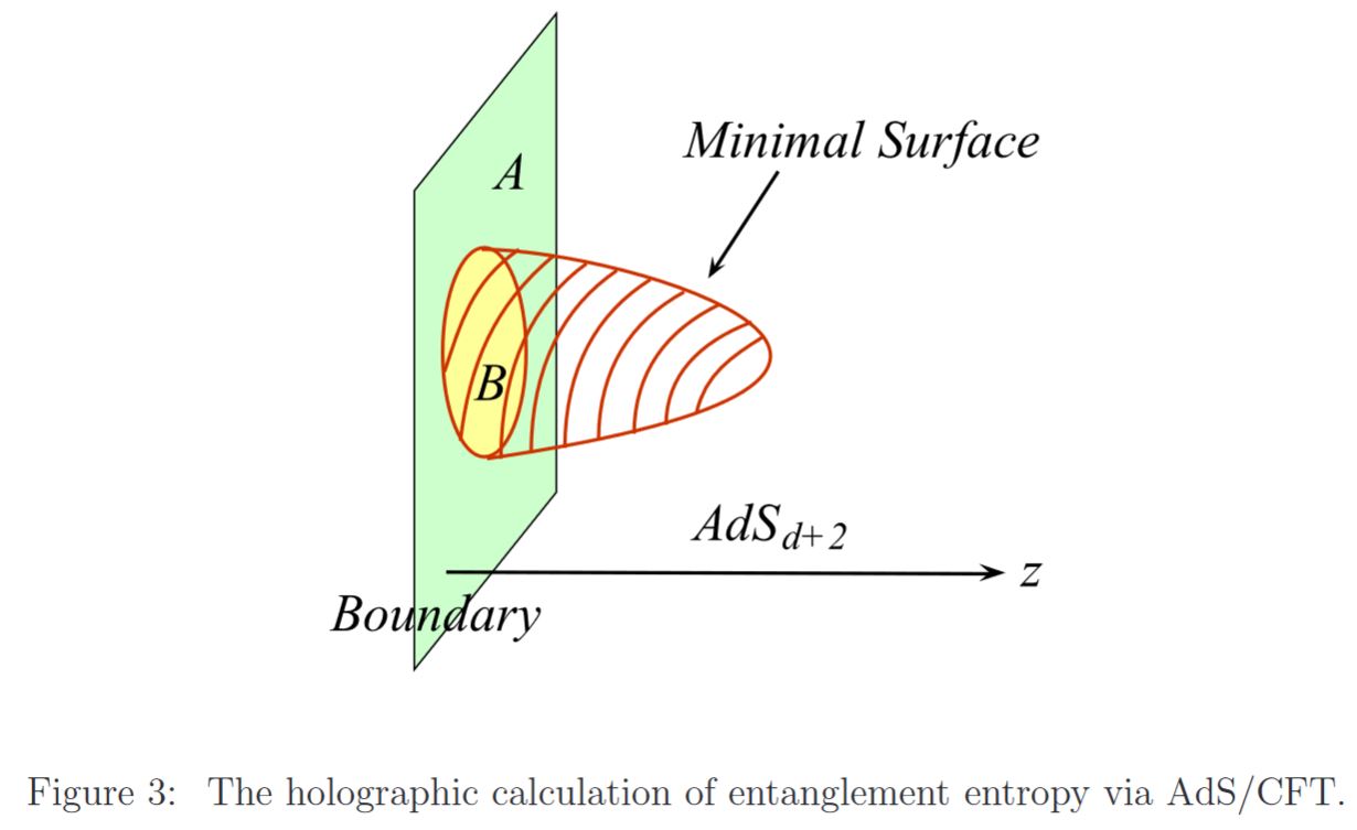 holographic entanglement entropy in nLab