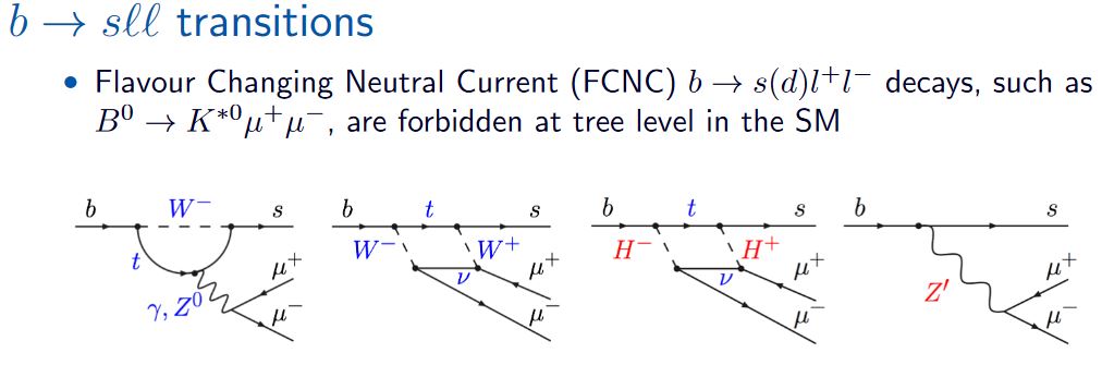 Flavour Anomaly In Nlab